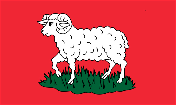 flaga szlachta Junosza tarcza