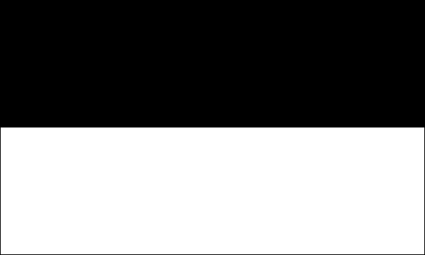 flaga szlachta Trąby pasy